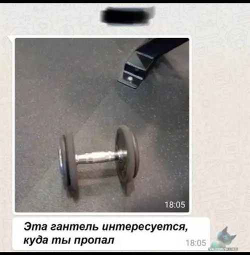 Смешная картинка №326705