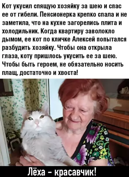 Смешная картинка №525844
