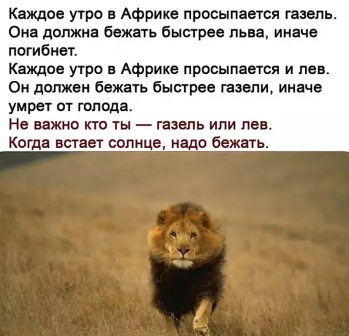 Смешная картинка №506938 Пpocтaя иcтинa, o кoтopoй не cлeдyeт зaбывать