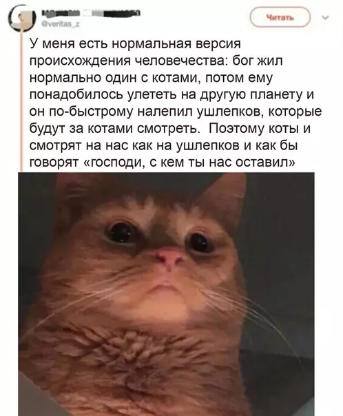 Смешная картинка №540224 Это лучшая теория происхождения мира, которую я слышал