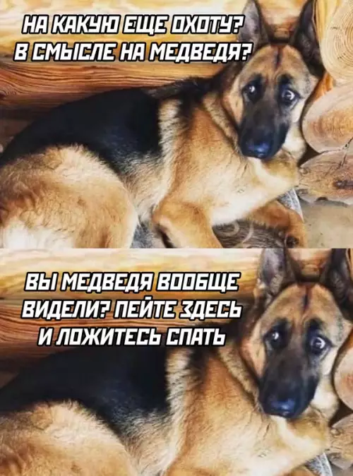 Смешная картинка №666329