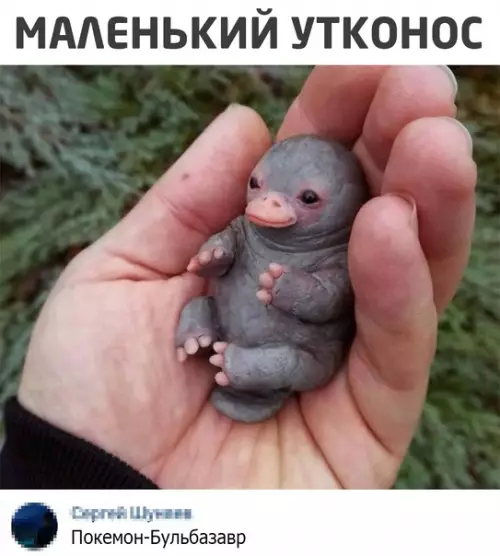 Смешная картинка №546527