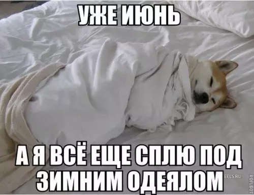 Смешная картинка №187129