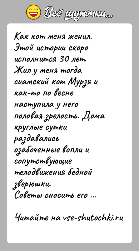 История: Как кот меня женил.Этой истории скоро исполнится 30 лет.Жил у меня тогда сиамский кот Мурзя и как-то по весне наступила