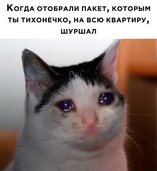 Смешная картинка №675837