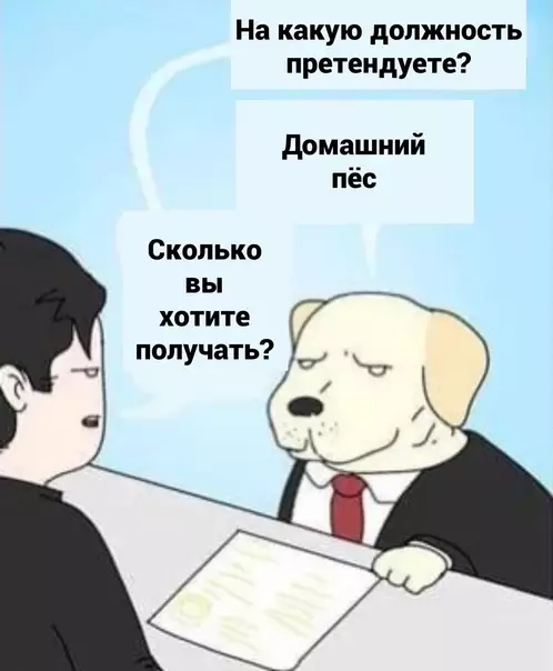 Смешная картинка №580494 Собаки