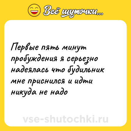 Шутка: Первые пять минут пробуждения я серьезно надеялась что будильник мне приснился и идти никуда не надо
