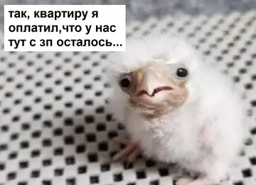 Смешная картинка №763439