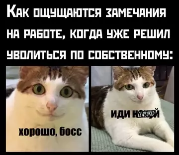 Смешная картинка №762836
