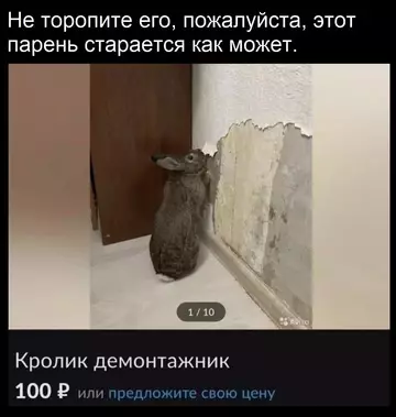 Смешная картинка №763532 Первый день на работе, дайте ему шанс