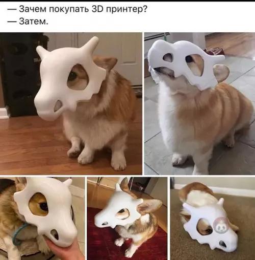 Смешная картинка №511940 Лучший намордник, который может быть! ?