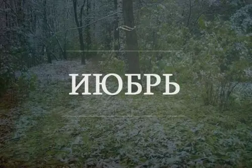Смешная картинка №187318