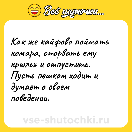 Шутка: Как же кайфово поймать комара, оторвать ему крылья и отпустить. Пусть пешком ходит и думает о своем поведении.