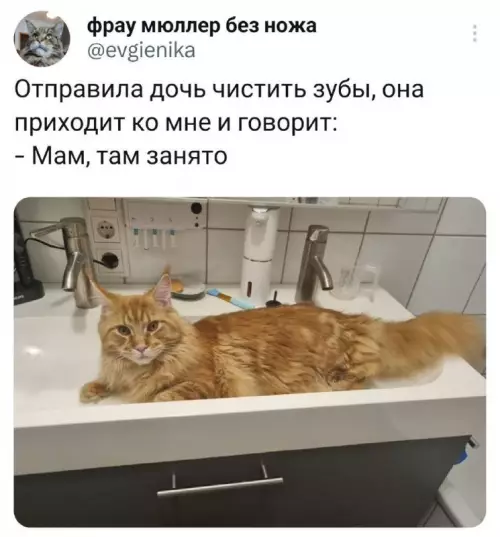 Смешная картинка №681318