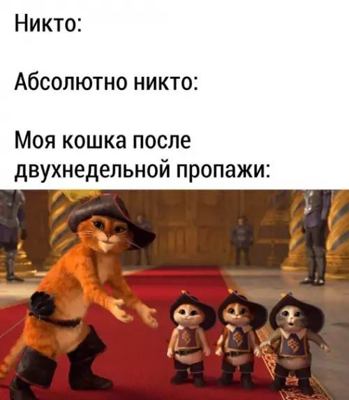 Смешная картинка №487044 Пришла с припасом