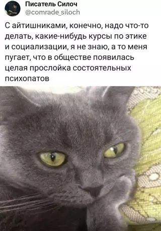 Смешная картинка №711117