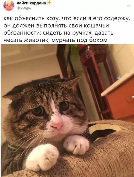 Смешная картинка №524431 Крик души