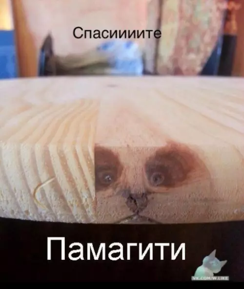 Смешная картинка №392714