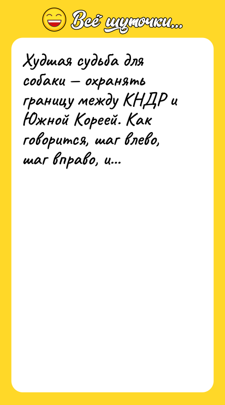 Худшая судьба для собаки — охранять границу между КНДР и
