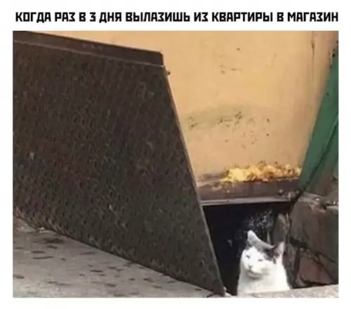 Смешная картинка №491077