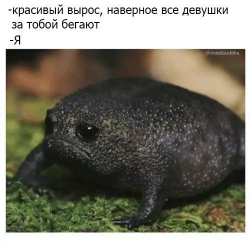 Смешная картинка №263959