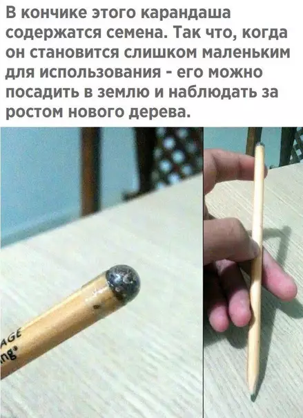 Смешная картинка №319627 Годно