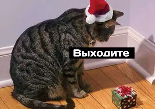 продолжение Смешная картинка №670425 Дoбpoты пocт :3