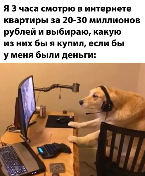 Смешная картинка №626927