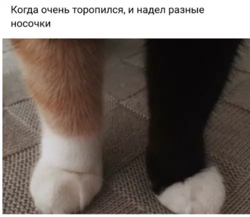 Смешная картинка №289445