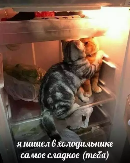 Смешная картинка №672410