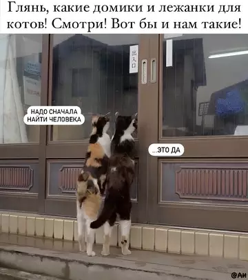 Смешная картинка №761041