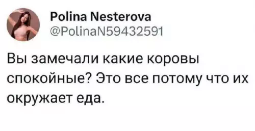 Смешная картинка №732360