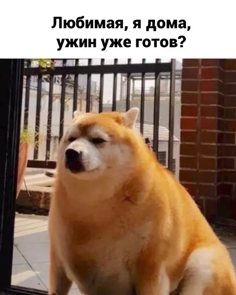 Смешная картинка №575948