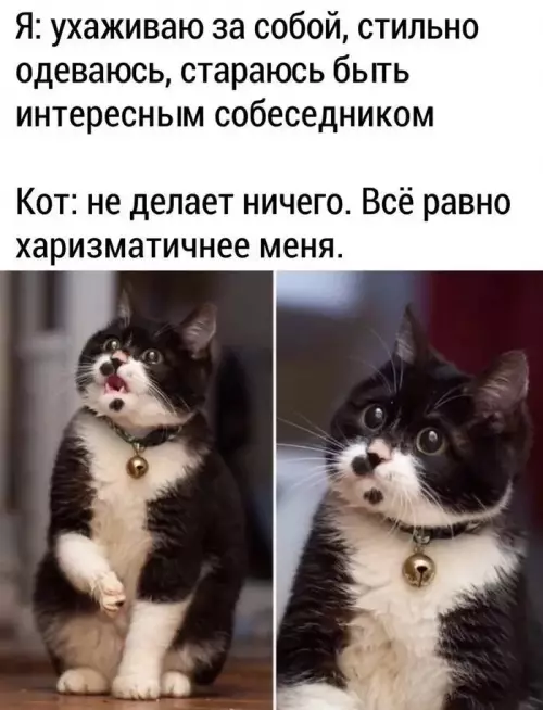 Смешная картинка №673958