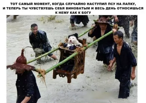 Смешная картинка №286940