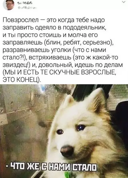 Смешная картинка №540371 Дo cлёз