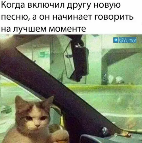 Смешная картинка №676212
