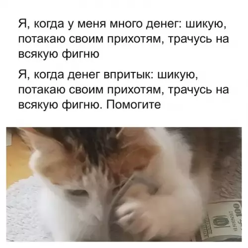 Смешная картинка №740870