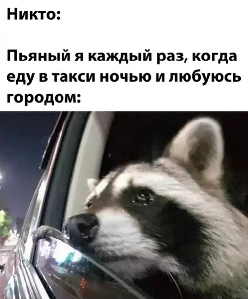 Смешная картинка №517586
