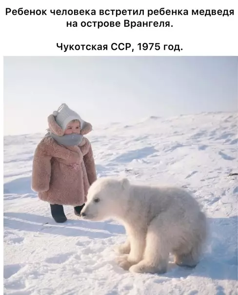 Смешная картинка №574893