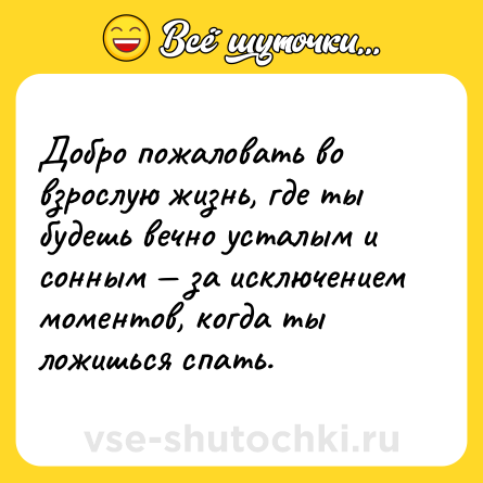 Шутка: Добро пожаловать во взрослую жизнь, где ты будешь вечно усталым и сонным — за исключением моментов, когда ты ложишься спать.