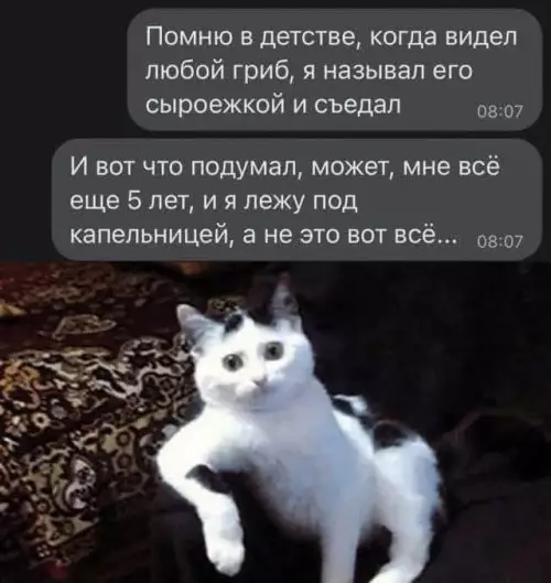 Когда детские ошибки догнали спустя годы 🍄💀 - Помню в детстве, когда видел любой гриб, я называл его