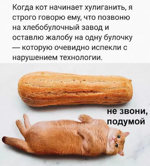 Смешная картинка №697759