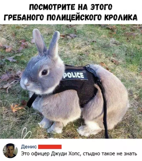 Смешная картинка №362917
