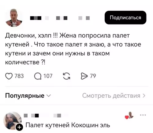Когда не понимаешь женский язык 😂 - Девчонки, хэлп !!! Жена попросила палет кутеней . Что такое