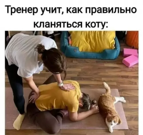 Смешная картинка №803377