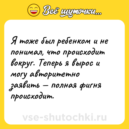 Шутка: Я тоже был ребенком и не понимал, что происходит вокруг. Теперь я вырос и могу авторитетно заявить — полная фигня происходит.