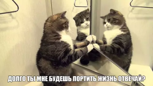 Смешная картинка №283778