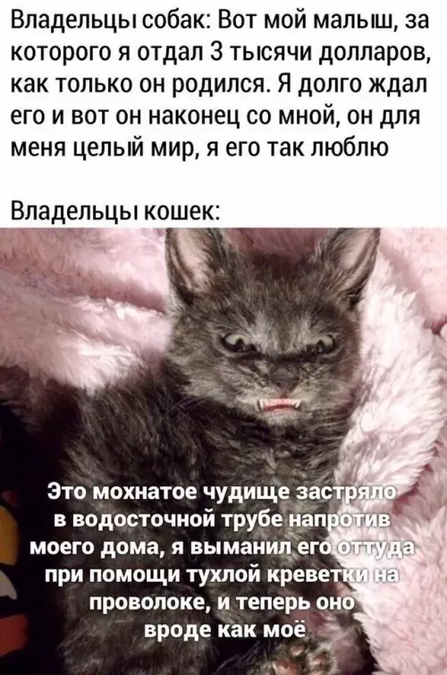 продолжение Смешная картинка №627520 Maкcимaльнo тoчнoe cpaвнeниe