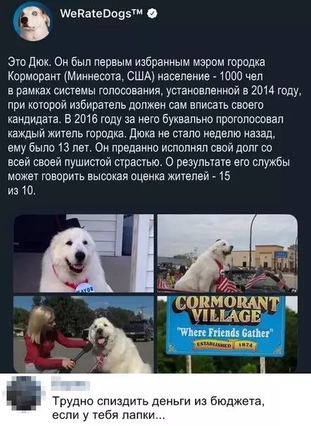 Смешная картинка №335412 Press F to Pay Respects